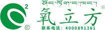 拉薩圣杰雕塑石材有限公司